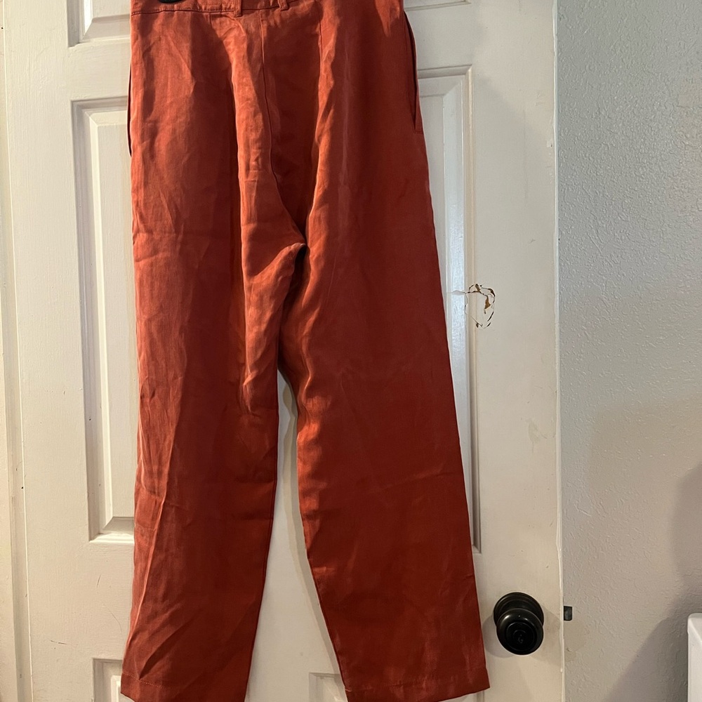 Zara Rust Chinos - Picture 3 of 3